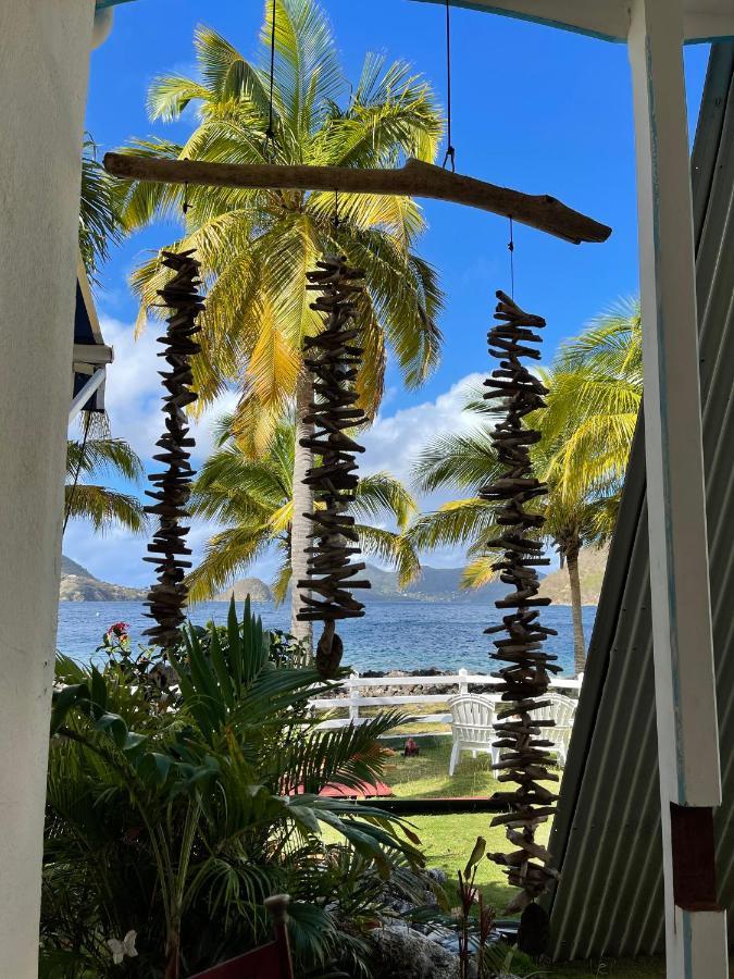 Blue Lagoon, Cottage Les Pieds Dans L Eau Terre-De-Haut Exterior foto